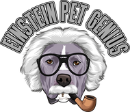 Einstein Pet Genius