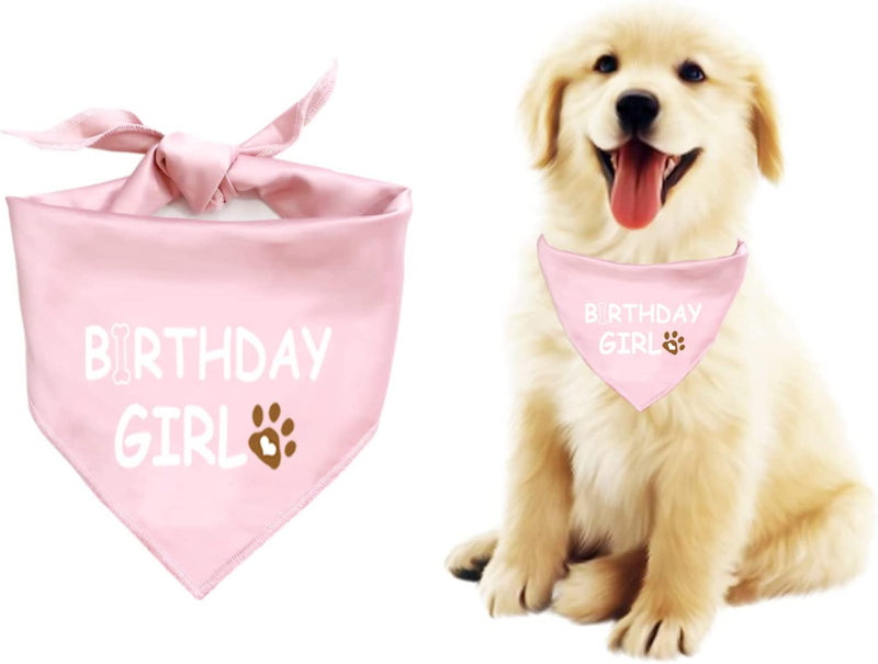 Dog Birthday Bandana Dog Birthday Boy Girl Dog Birthday Supplies for Small Medium Large Pet(Large)