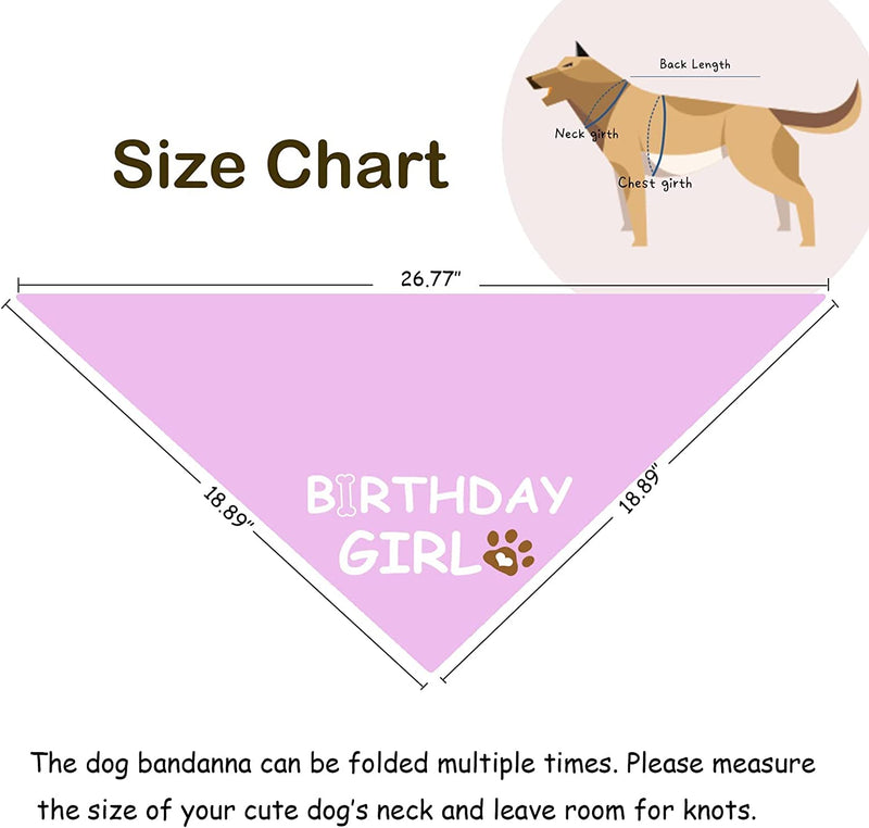 Dog Birthday Bandana Dog Birthday Boy Girl Dog Birthday Supplies for Small Medium Large Pet(Large)