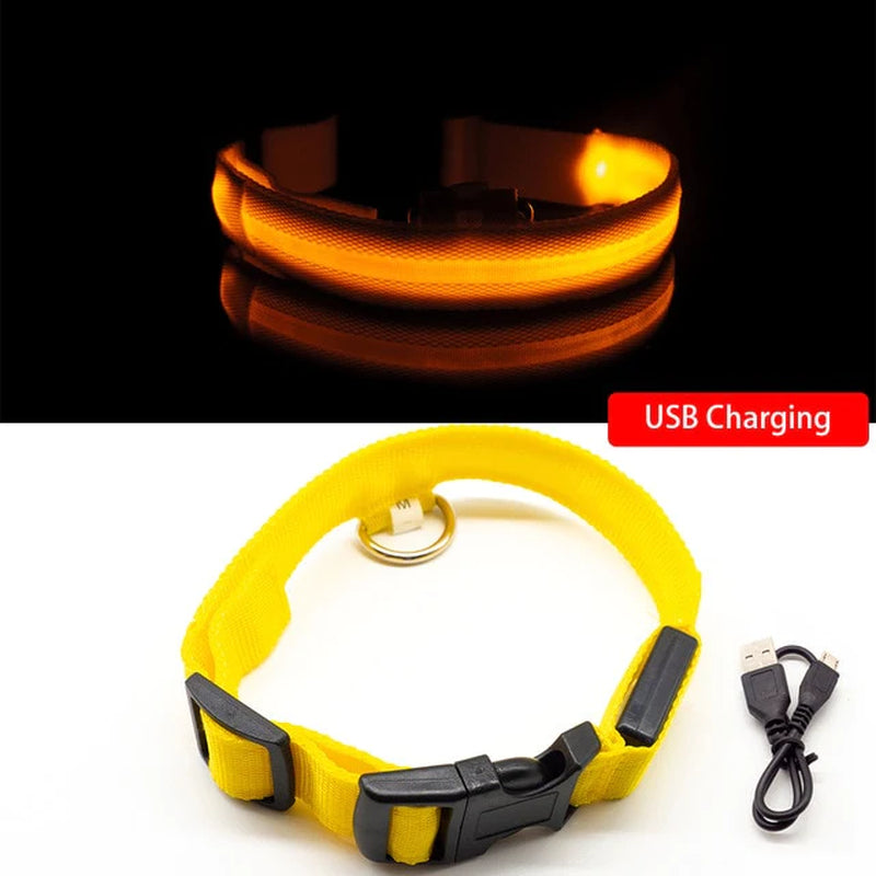 USB Charging Led Dog Collar Anti-Lost/Avoid Car Accident Collar for Dogs Puppies Dog Collars Leads LED Supplies Pet Products