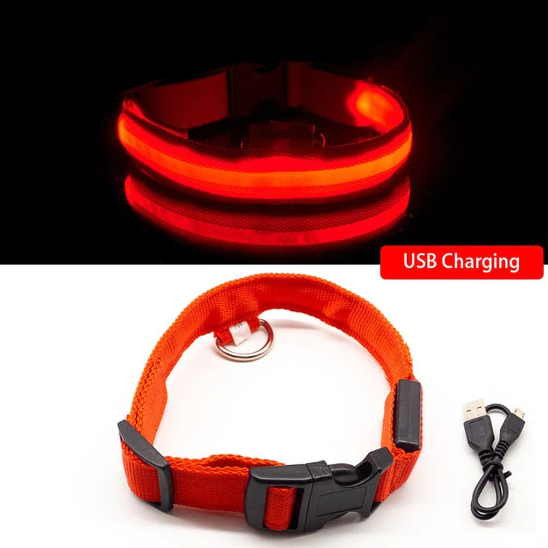 USB Charging Led Dog Collar Anti-Lost/Avoid Car Accident Collar for Dogs Puppies Dog Collars Leads LED Supplies Pet Products