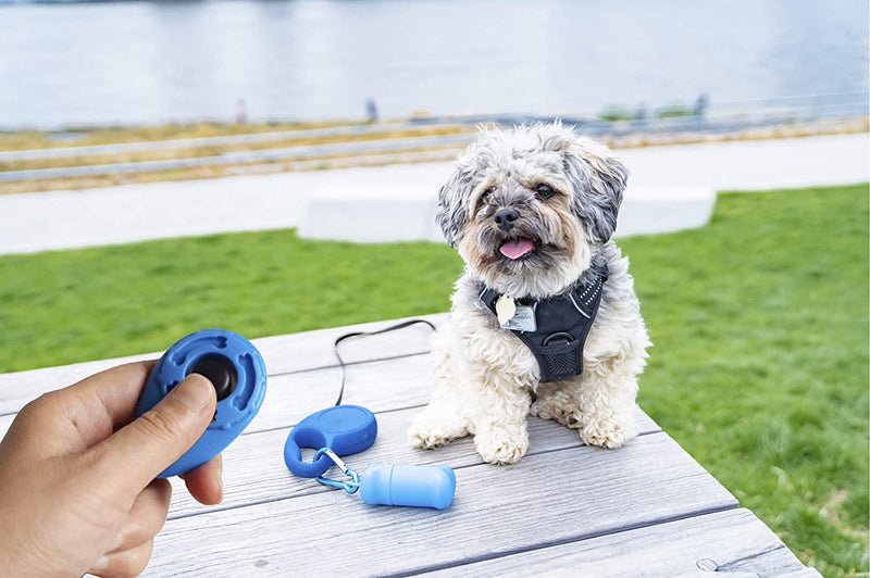 Leash Treat Holder and Training Clickers (White/Pink) - Portable Container and Clickers with Wrist Straps Training Bundle