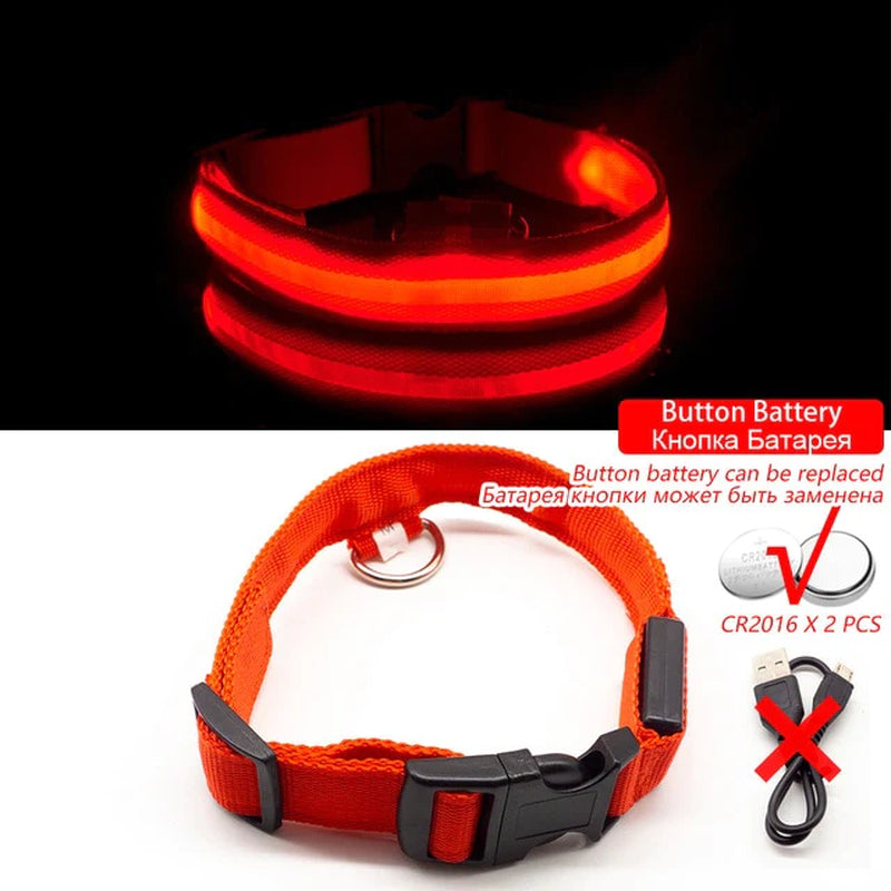 USB Charging Led Dog Collar Anti-Lost/Avoid Car Accident Collar for Dogs Puppies Dog Collars Leads LED Supplies Pet Products