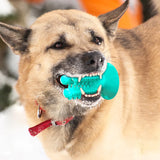 Dog Toothbrush Pet Tooth Cleaning Bite Resistant Grinding Accessories for Dog Brushing Stick Dog Chew Toys Puppy Dental Care