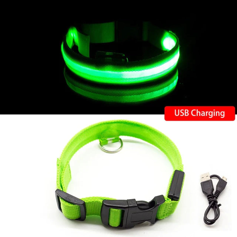 USB Charging Led Dog Collar Anti-Lost/Avoid Car Accident Collar for Dogs Puppies Dog Collars Leads LED Supplies Pet Products