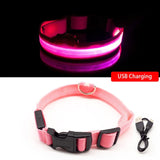 USB Charging Led Dog Collar Anti-Lost/Avoid Car Accident Collar for Dogs Puppies Dog Collars Leads LED Supplies Pet Products