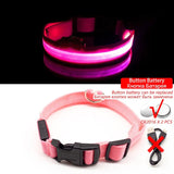 USB Charging Led Dog Collar Anti-Lost/Avoid Car Accident Collar for Dogs Puppies Dog Collars Leads LED Supplies Pet Products